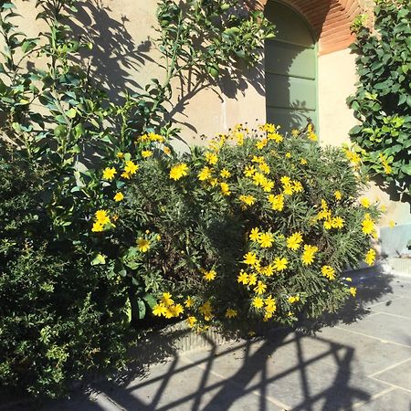卡麦奥雷Casa Mita Con Pacchetto Mare Incluso别墅 外观 照片